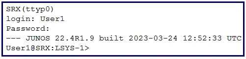 Exam JN0-637: Question 10 - Image 1